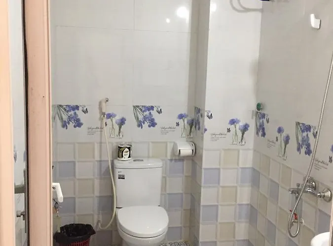 Viet Dung 2* Hạ Long